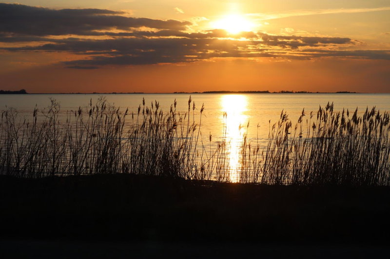 Höllviksnäs möten mat logi, Trelleborg, Sweden