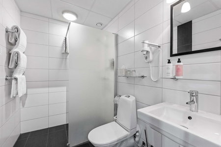 Best Western Plus Edward Hotel, Lidkoeping, Sweden