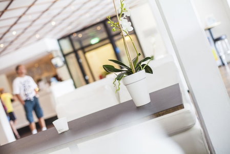 Ronneby Brunn Hotel Spa Resort, Karlskrona, Suecia