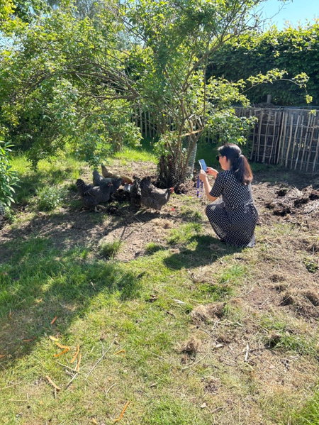 Halmstad Gårdshotell, Halmstad, Sweden