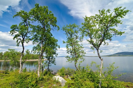 Hornavan Hotell, Arjeplog, Sweden