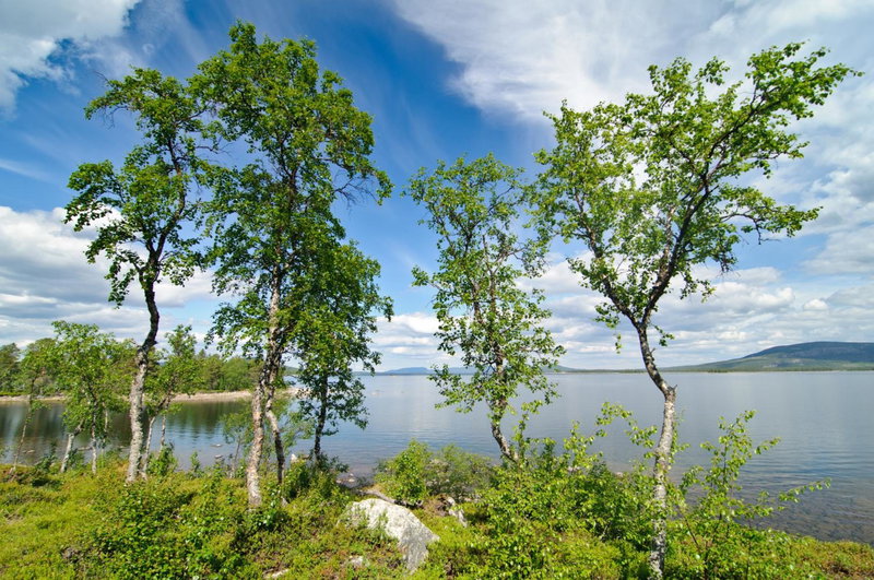 Hornavan Hotell, Arjeplog, Sweden
