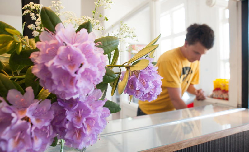 Ronneby Brunnspark Vandrarhem och B&B, Karlskrona, Suecia