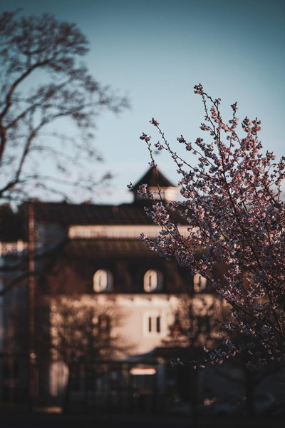 Åtellet Hotell, Norrtaelje, Sweden