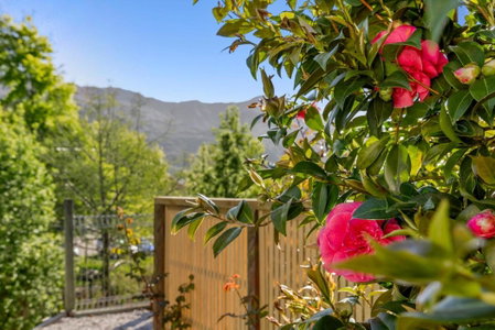 ASURE Brookvale Motel, Wanaka, Новая Зеландия