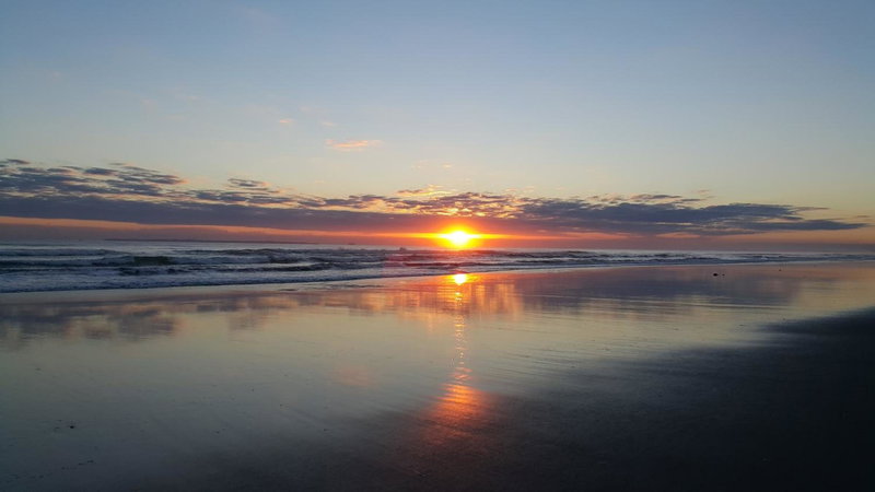 Bay Palm Motel, Tauranga, Nouvelle-Zélande