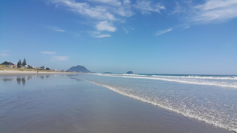 Bay Palm Motel, Tauranga, Nouvelle-Zélande