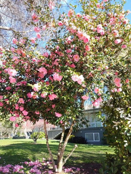 Tasman Holiday Parks - Wanaka, Wanaka, Nouvelle-Zélande