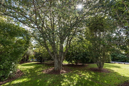 Kauri Park Motel, Kerikeri, New Zealand