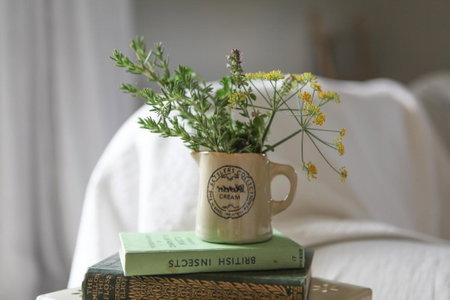 Cedar Park Bed & Breakfast, Hamilton, Новая Зеландия