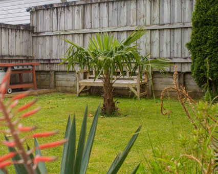 Palm Motel Waihi, Waihi, New Zealand