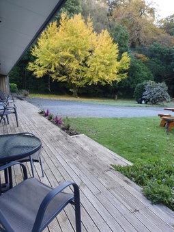 Havelock Garden Motel, Havelock, New Zealand