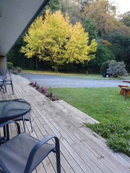 Havelock Garden Motel, Havelock, New Zealand