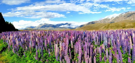 37 Galaxy C studio, Lake Tekapo, New Zealand