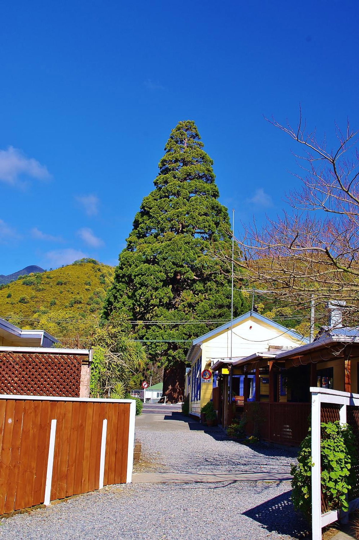 Sequoia Lodge Backpackers, Nueva Zelanda