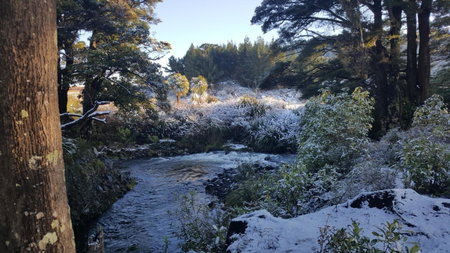 Ruapehu Mountain Motel & Lodge, Ohakune, Новая Зеландия