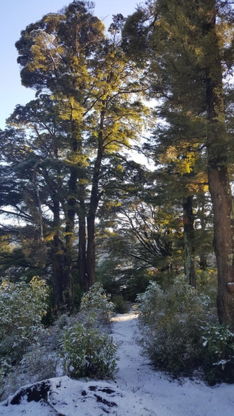 Ruapehu Mountain Motel & Lodge, Ohakune, Новая Зеландия