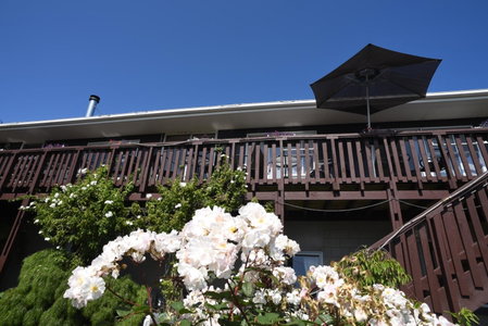 Brook House B&B & Cottages, Kaikoura, Новая Зеландия