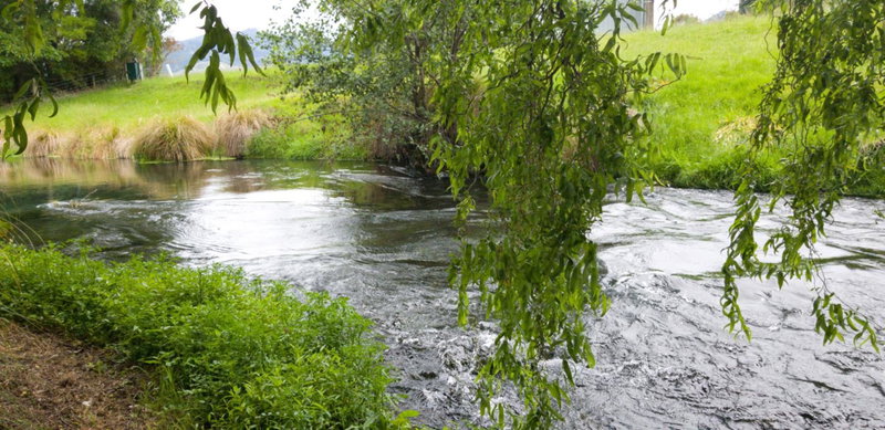 Spring Creek Holiday Park, Blenheim, Neuseeland