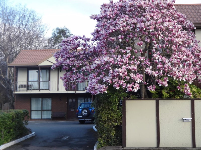 Argyle On The Park - Central Christchurch Motel Overlooking Hagley Park, Christchurch, Nouvelle-Zélande