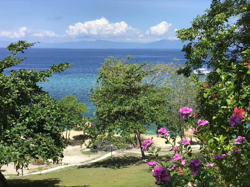Cuestas Beach Resort and Restaurant, Badian, Philippines