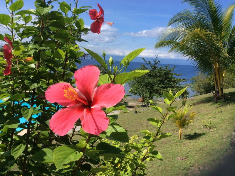 Cuestas Beach Resort and Restaurant, Badian, Philippines