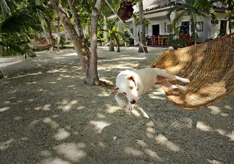 Les Maisons D'Itac, Guihulngan, Philippines