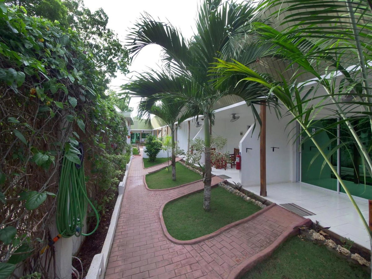 Hotel · Alona Gecko Inn, Danao