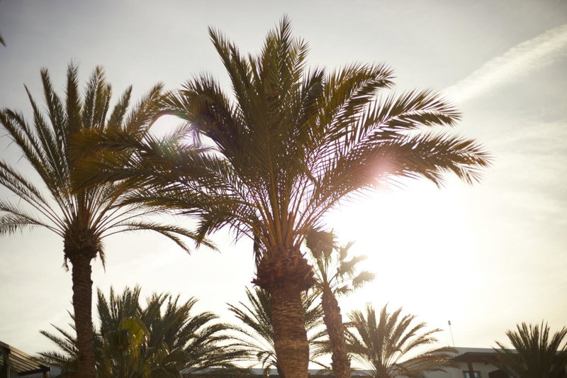 Secrets Lanzarote Resort & Spa - Adults Only (+18), Puerto del Carmen, Spain