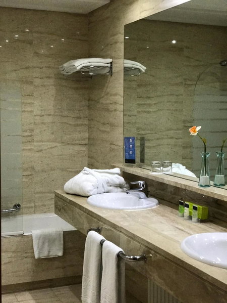 Eurostars Rey Alfonso X, Ciudad Real, Spain