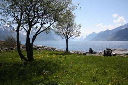 Sunde Fjord Hotel, free and easy parking, Alesund, Норвегия