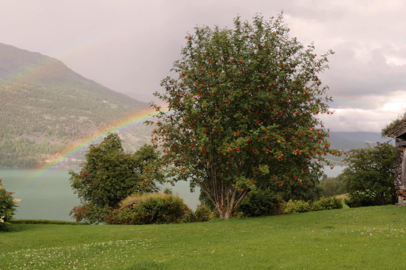 Sygard Storrvik, Storrvik, Noruega