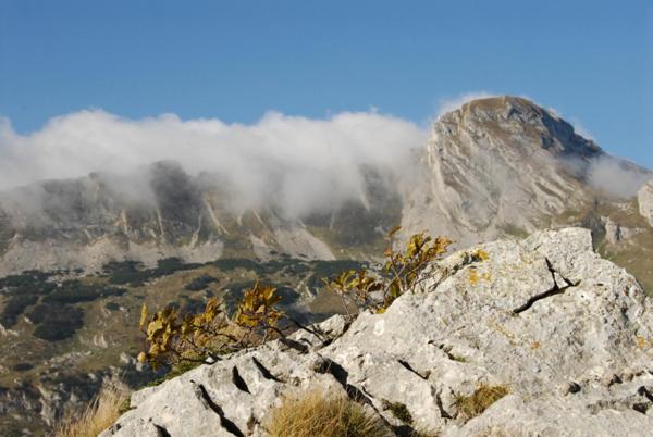 MB Hotel, Žabljak, Montenegro
