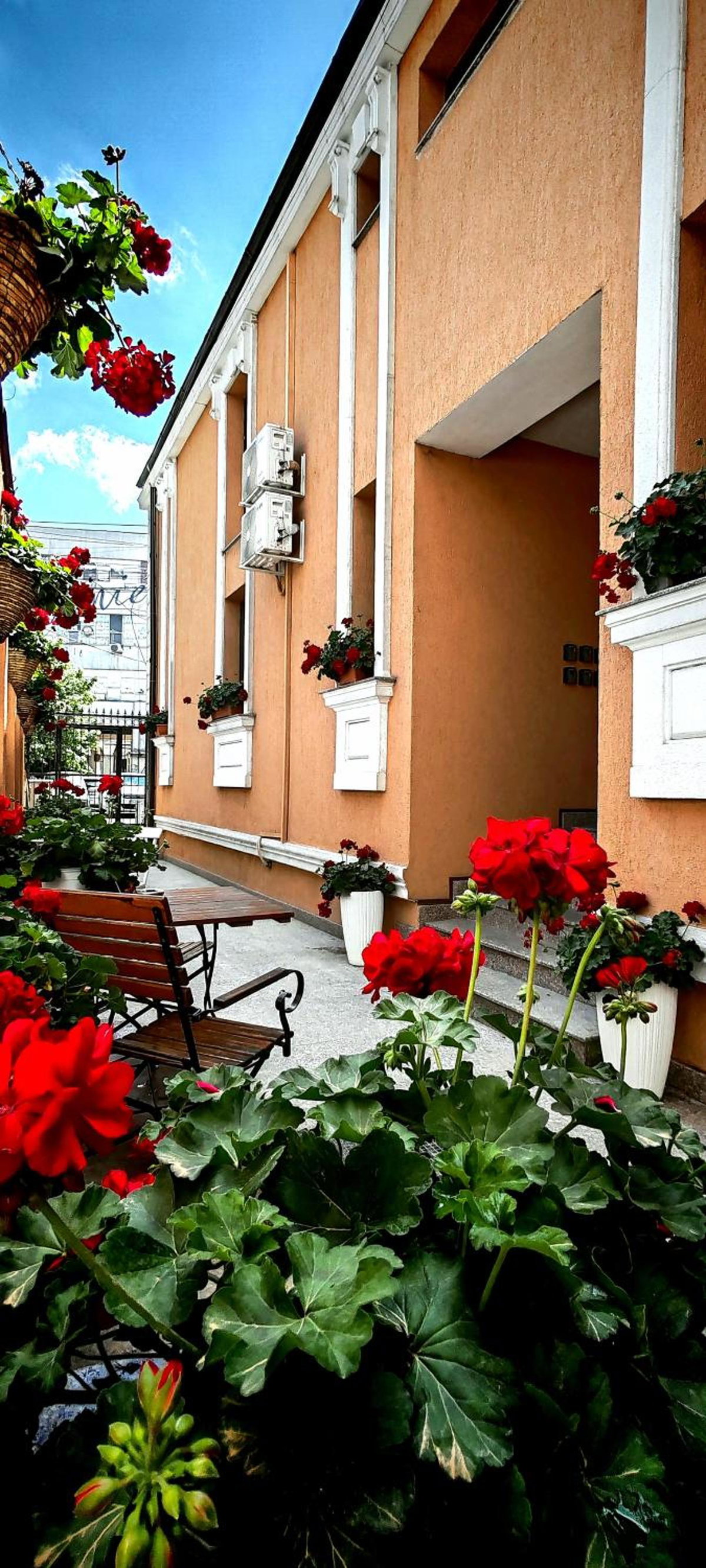BUCUR 9 Boutique Hotel, Roumanie