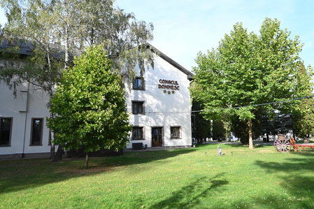 Conacul Domnesc, Suceava, Romania