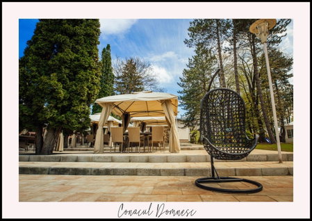 Conacul Domnesc, Suceava, Romania