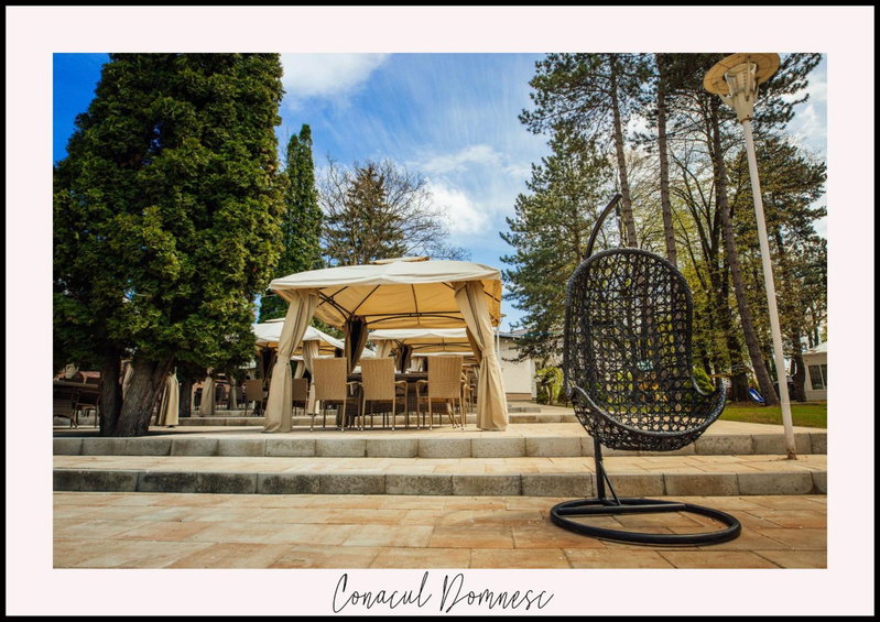 Conacul Domnesc, Suceava, Romania