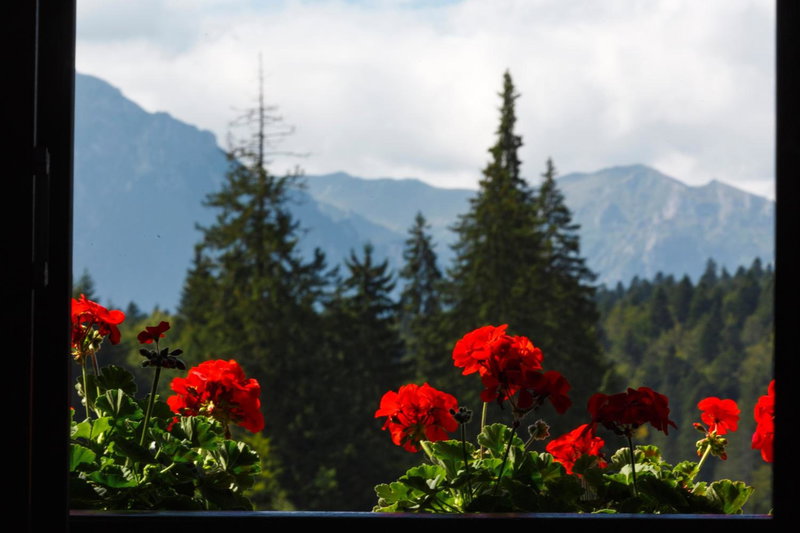Manor Ski Hotel, Rasnov, Romania
