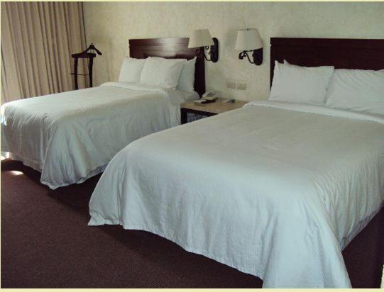 Hotel Gobernador, Victoria de Durango, Mexique