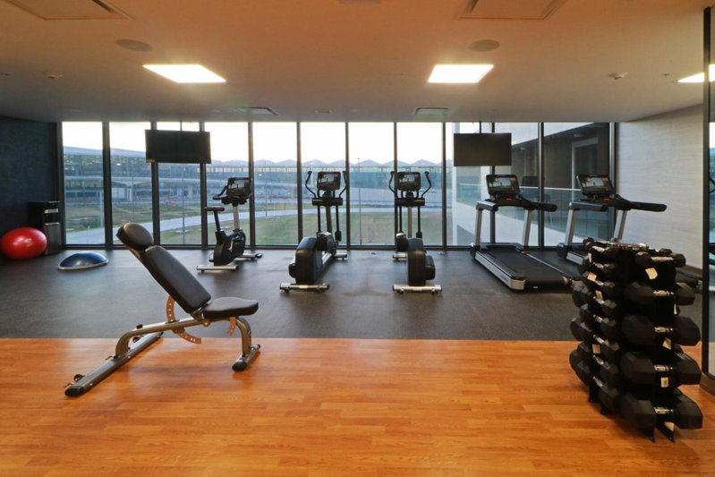 Holiday Inn & Suites - Mexico Felipe Angeles Airport by IHG, Tecamac, Mexique