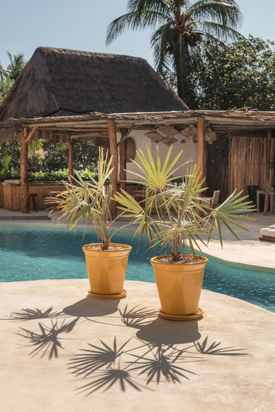 Ser Casasandra Boutique Hotel, Isla Holbox, Mexiko