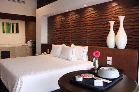 Radisson Hotel Tapatio Guadalajara Aeropuerto, Las Pintas de Arriba, Mexico