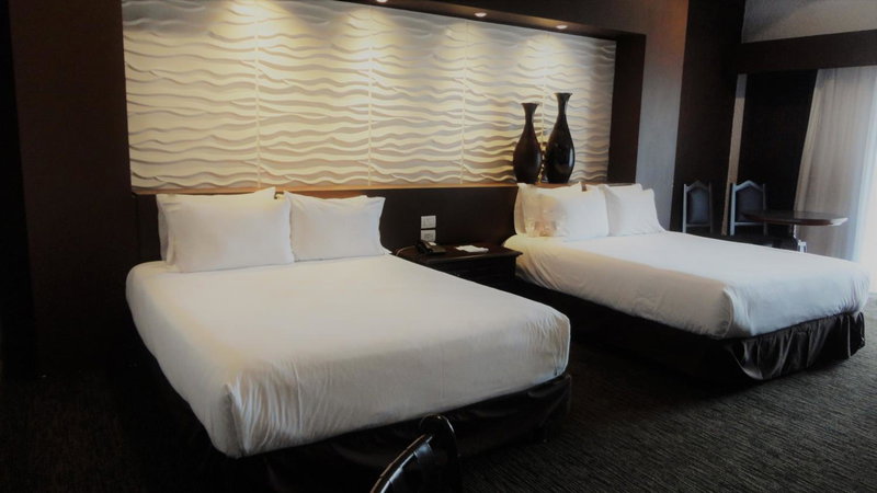 Radisson Hotel Tapatio Guadalajara Aeropuerto, Las Pintas de Arriba, Mexico