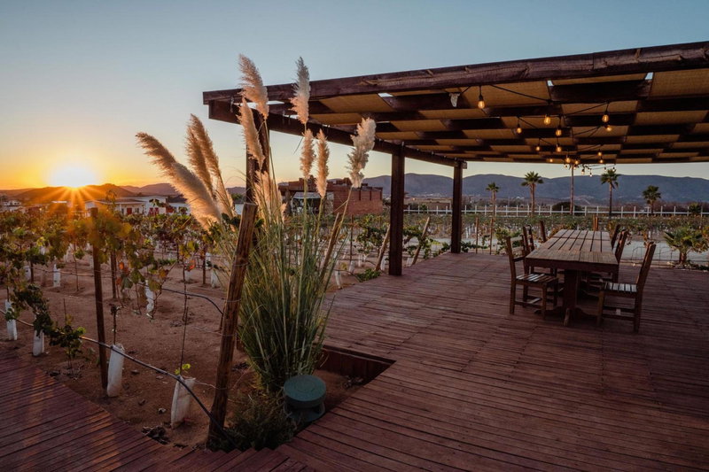 Entrevalle Hotel Boutique, Ensenada, Мексика
