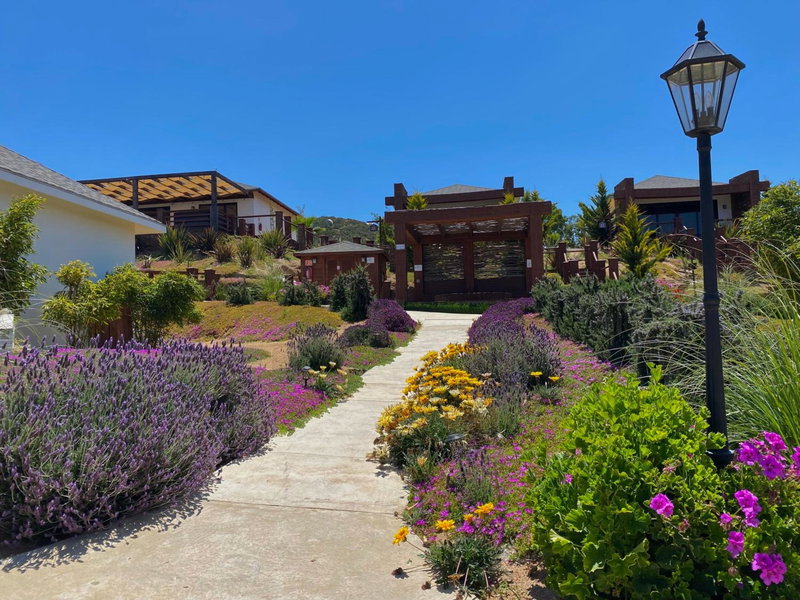 Entrevalle Hotel Boutique, Ensenada, Мексика