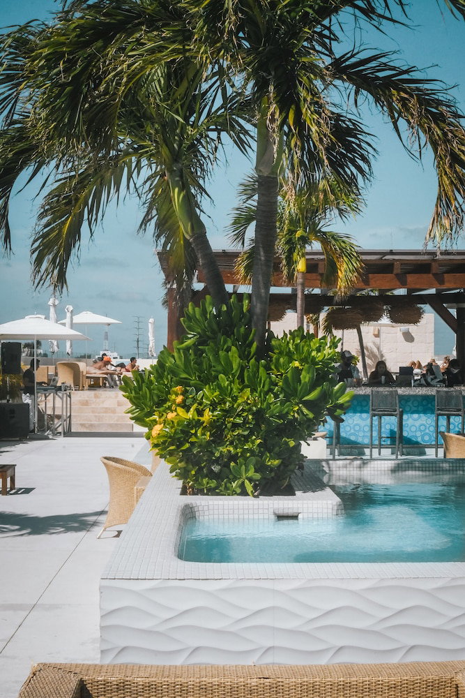 The Palm at Playa, Mexiko
