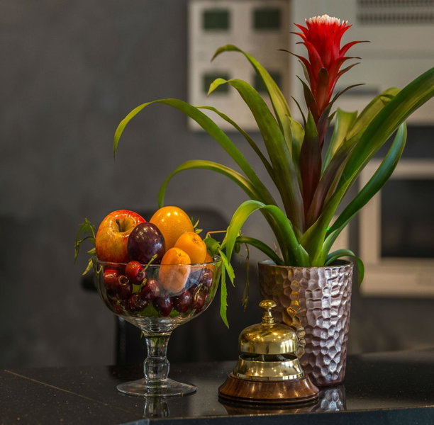 The Lion & Key Hotel, Leytonstone, United Kingdom