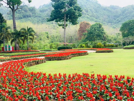Luxury Camp@Green Jungle Park, Luang Prabang, Laos