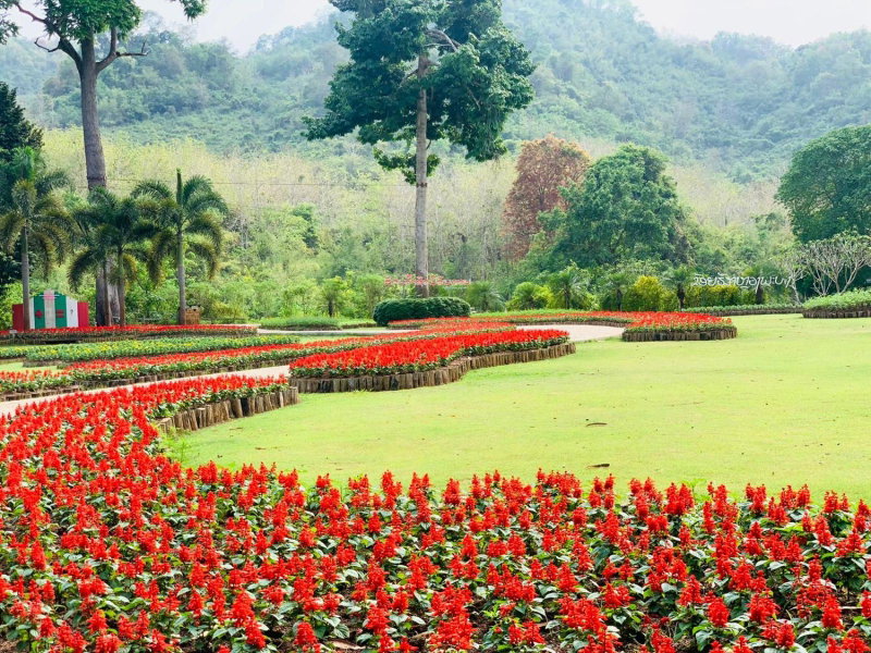 Luxury Camp@Green Jungle Park, Luang Prabang, Laos