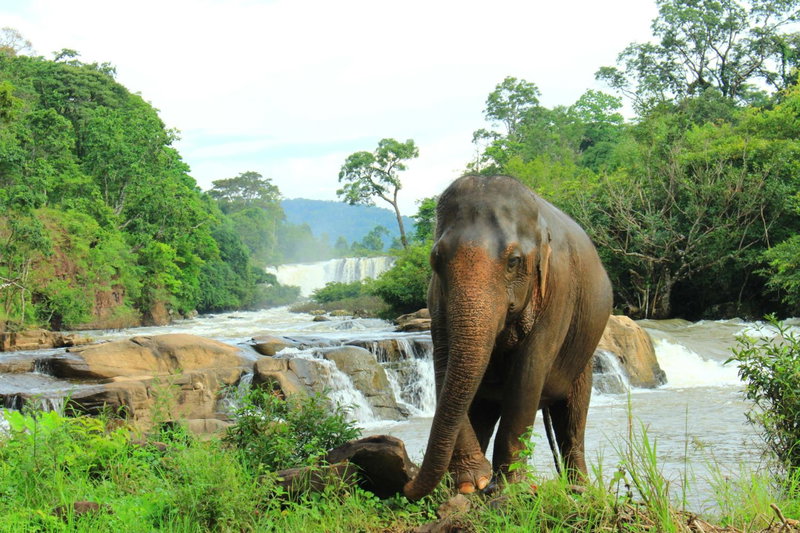 Tadlo Lodge, Sarawan, Laos